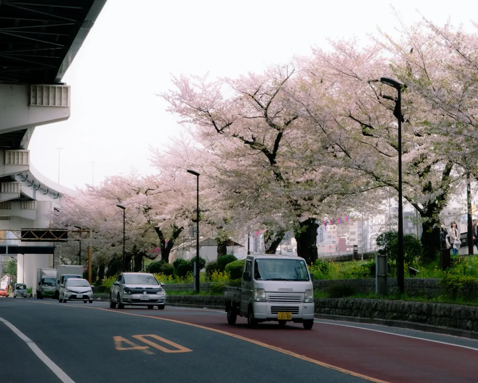 Imajen husi jogu Forza Horizon 6 ne'ebé hatudu kareta iha dalan Japaun ho kuda sakura no monte iha kotuk