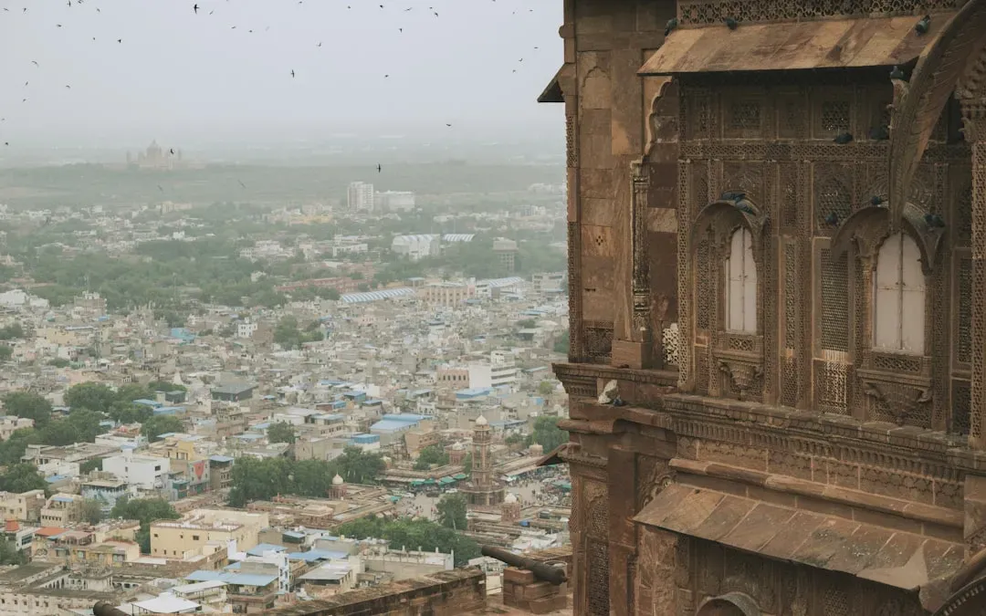 Imajen hatudu tempu aat ho anin boot no rai-henek iha Rajasthan, India, ho ema sira taka sira nia ulun atu proteje an