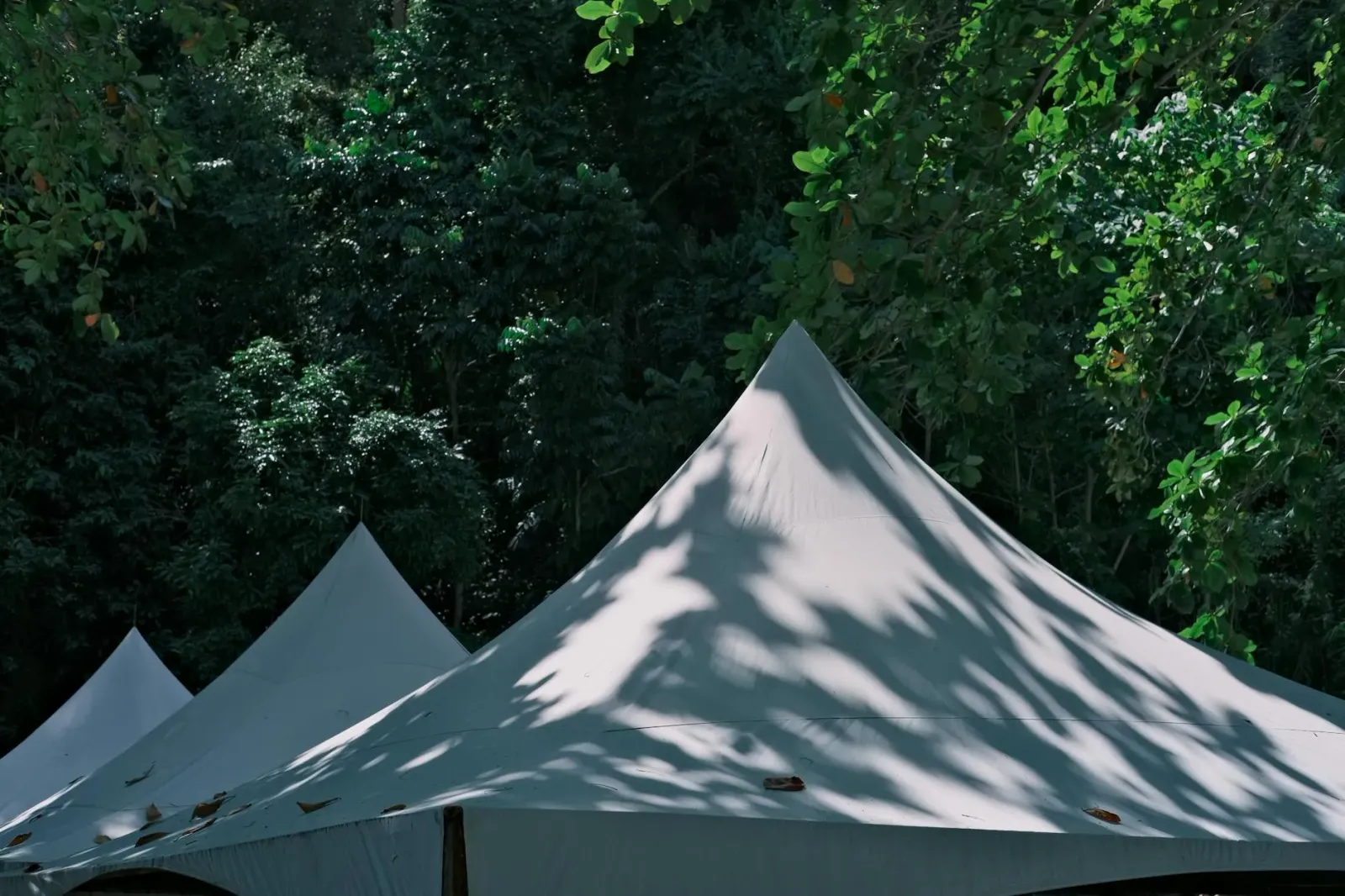 Tenda kanopi personalizadu ho teknolojia printing moderna iha eventu outdoor, hatudu oinsá negósiu ki'ik bele uza tendénsia n