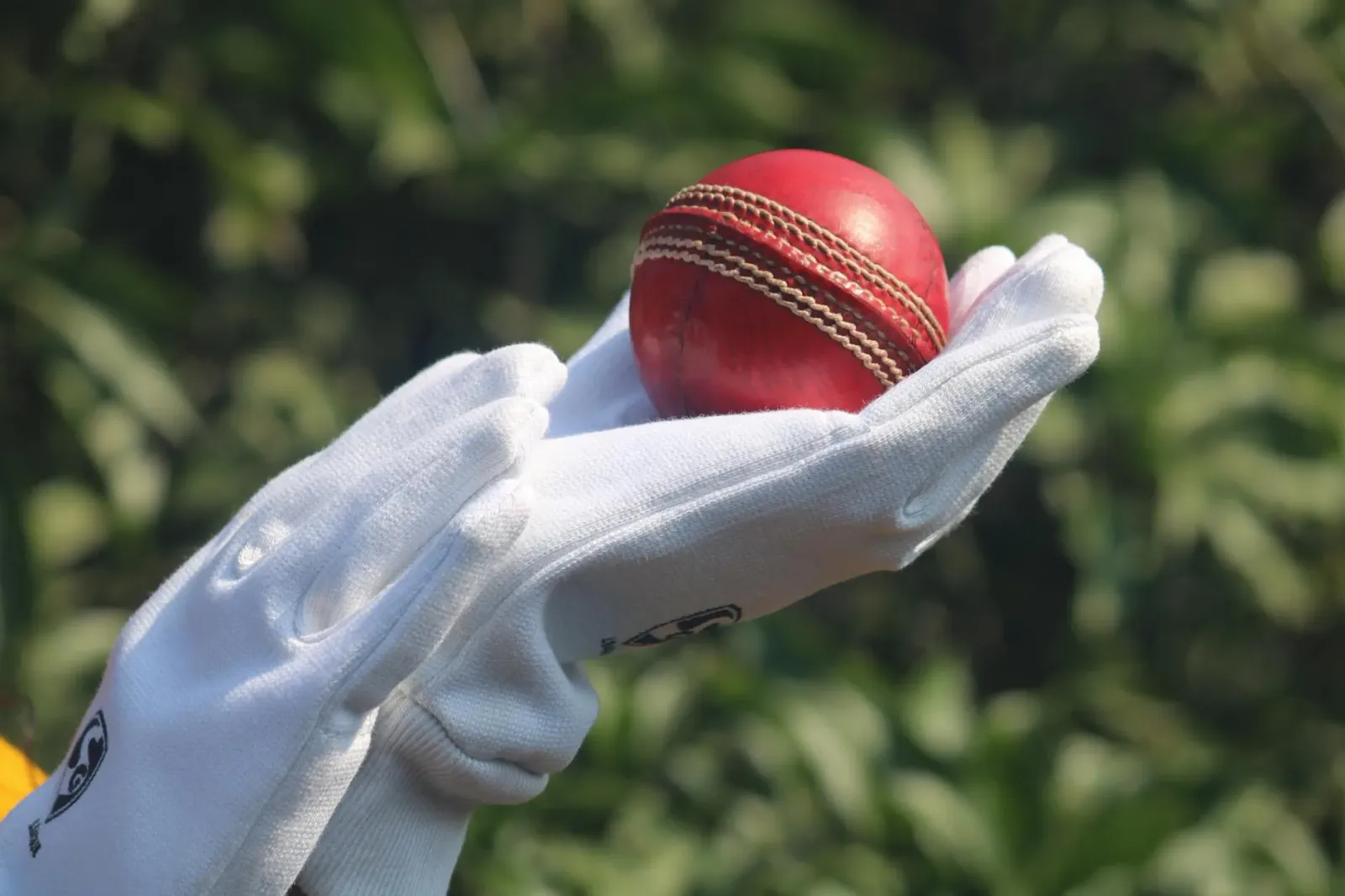 Imajen hatudu jogadora kriket Australia ho uniforme amarelu no verde, ho foku ba Ellyse Perry ne'ebé prepara atu bati, iha ka