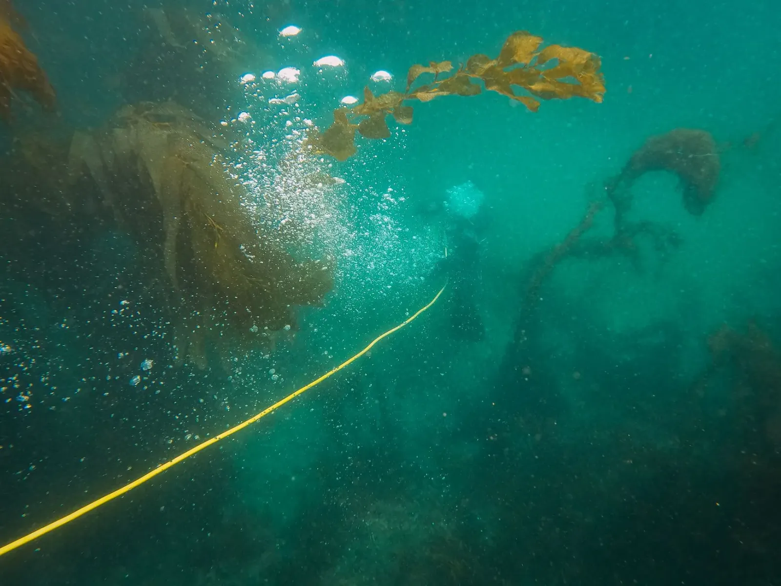 Imajen drone submarinu ne'ebé halo servisu proteje kabu iha leten osan, hanesan ba teknolojia AUKUS ne'ebé protege infraestru