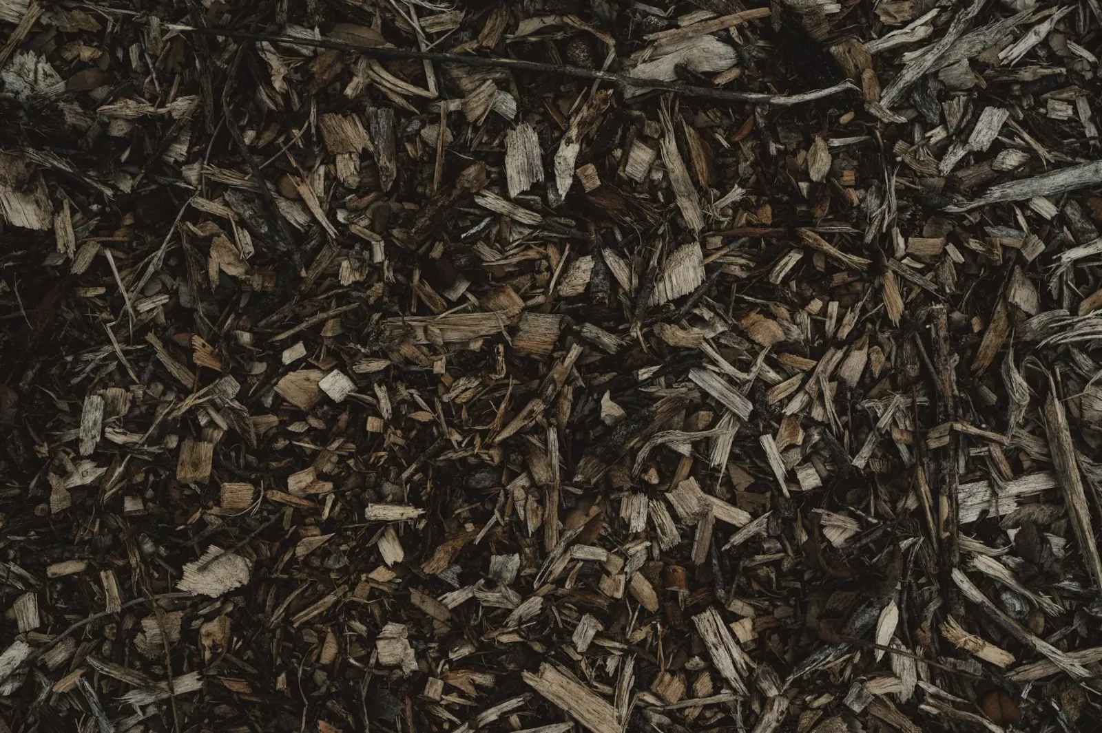Ai-kabelak no lignina ne'ebé sientista sira transforma ba vanila flavouring no bioplástiku, ho mikroskopiu hanesan símbolu in