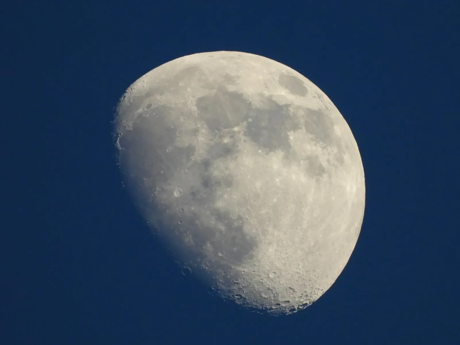 Grupu ema hamutuk observa Blue Moon liu husi teleskopu iha Anna Science Centre Planetarium Tiruchi, iha kalan ne'ebé lua naro