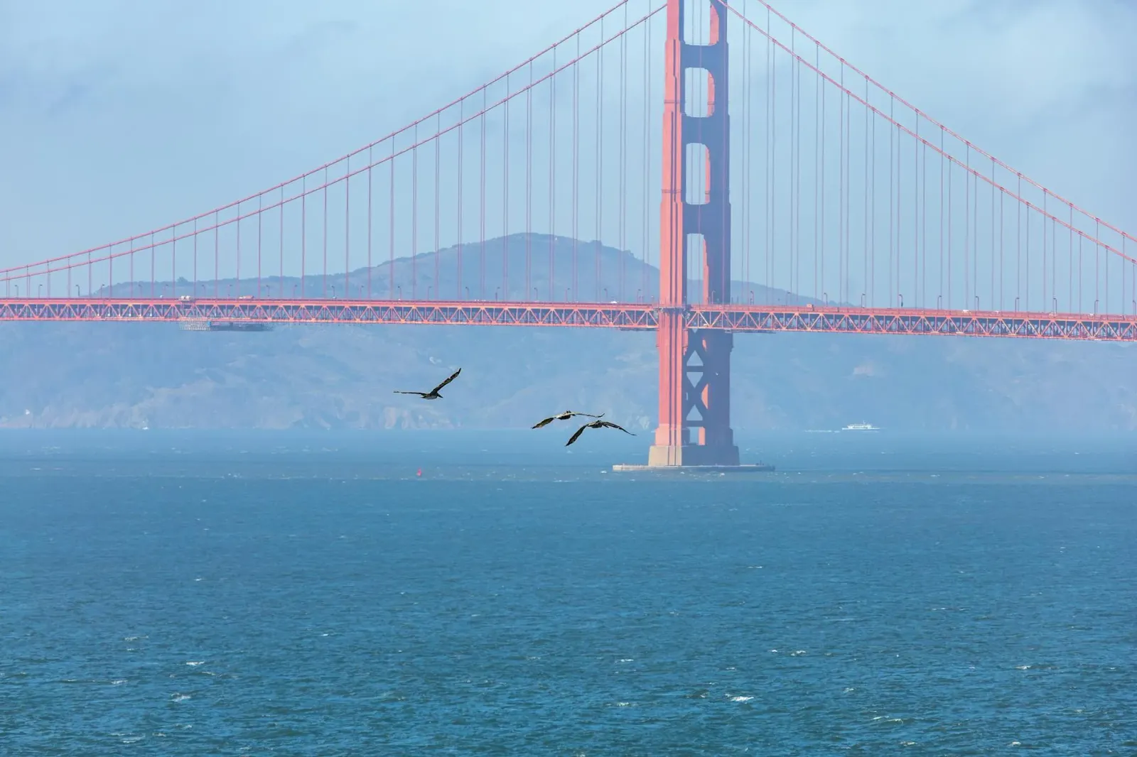 Avião El Al ne'ebé sei voa iha leten Ponte Golden Gate iha San Francisco, hanesan símbolu koneksaun global entre Tel Aviv no 