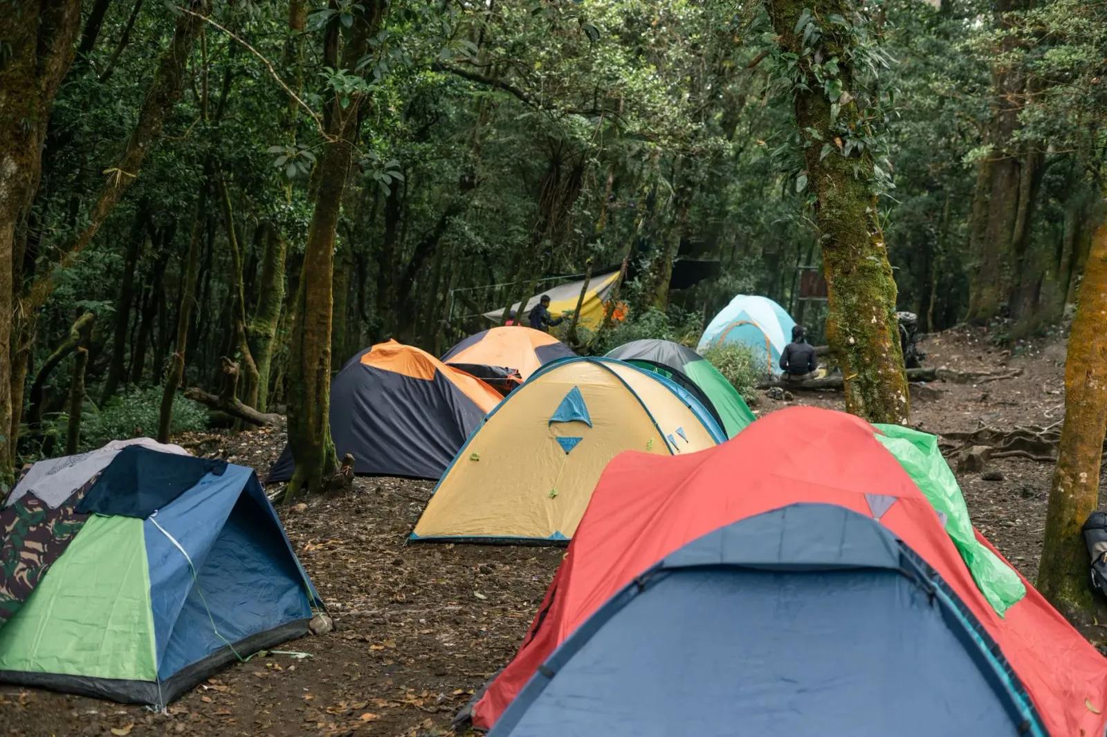Imajen hatudu tenda kamping no ekipamentu outdoor iha loja REI durante promosaun veranu, ho presu baratu.