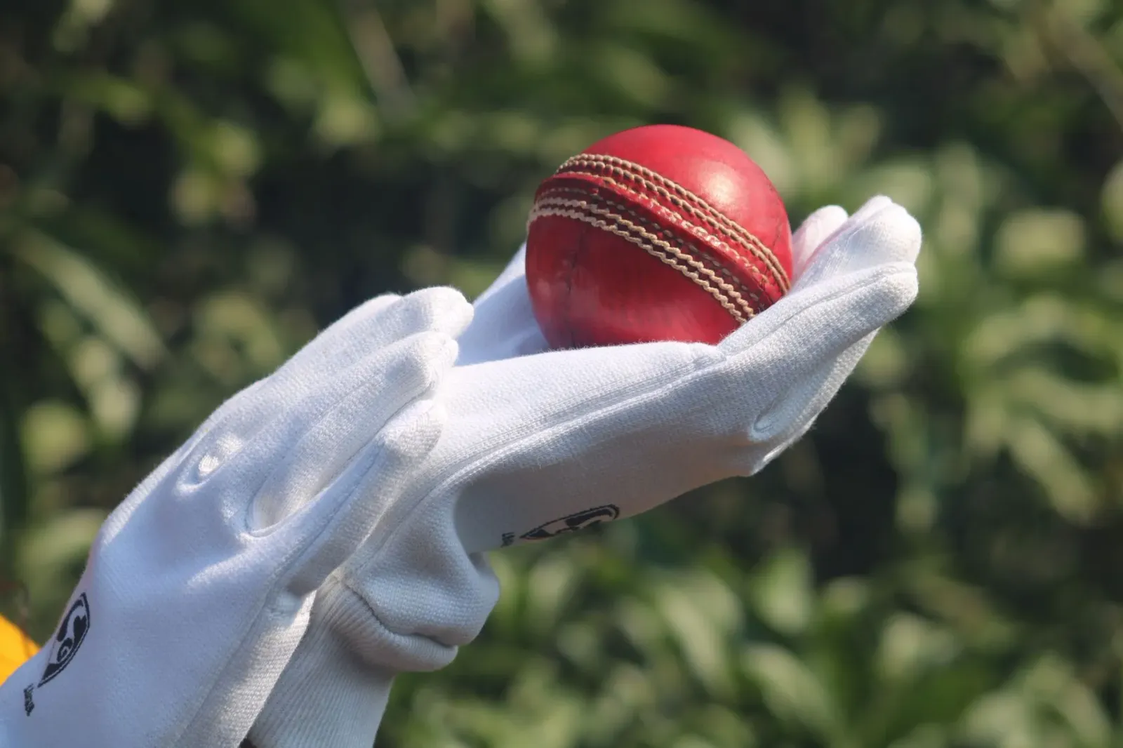 Danni Wyatt-Hodge, jogadór kriket Inglaterra, baku bola iha T20 World Cup 2026, hatudu nia forsa no estratéjia iha jogu, iha 