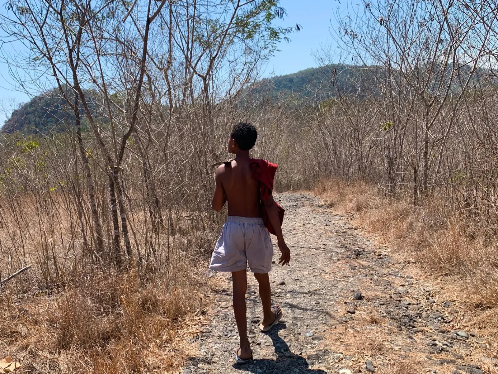 Imajen ida hatudu ema Timor-Leste hela iha laran jardim, han modo no ikan fresku, ho bee moos iha sorin, no tur hamutuk ho fa