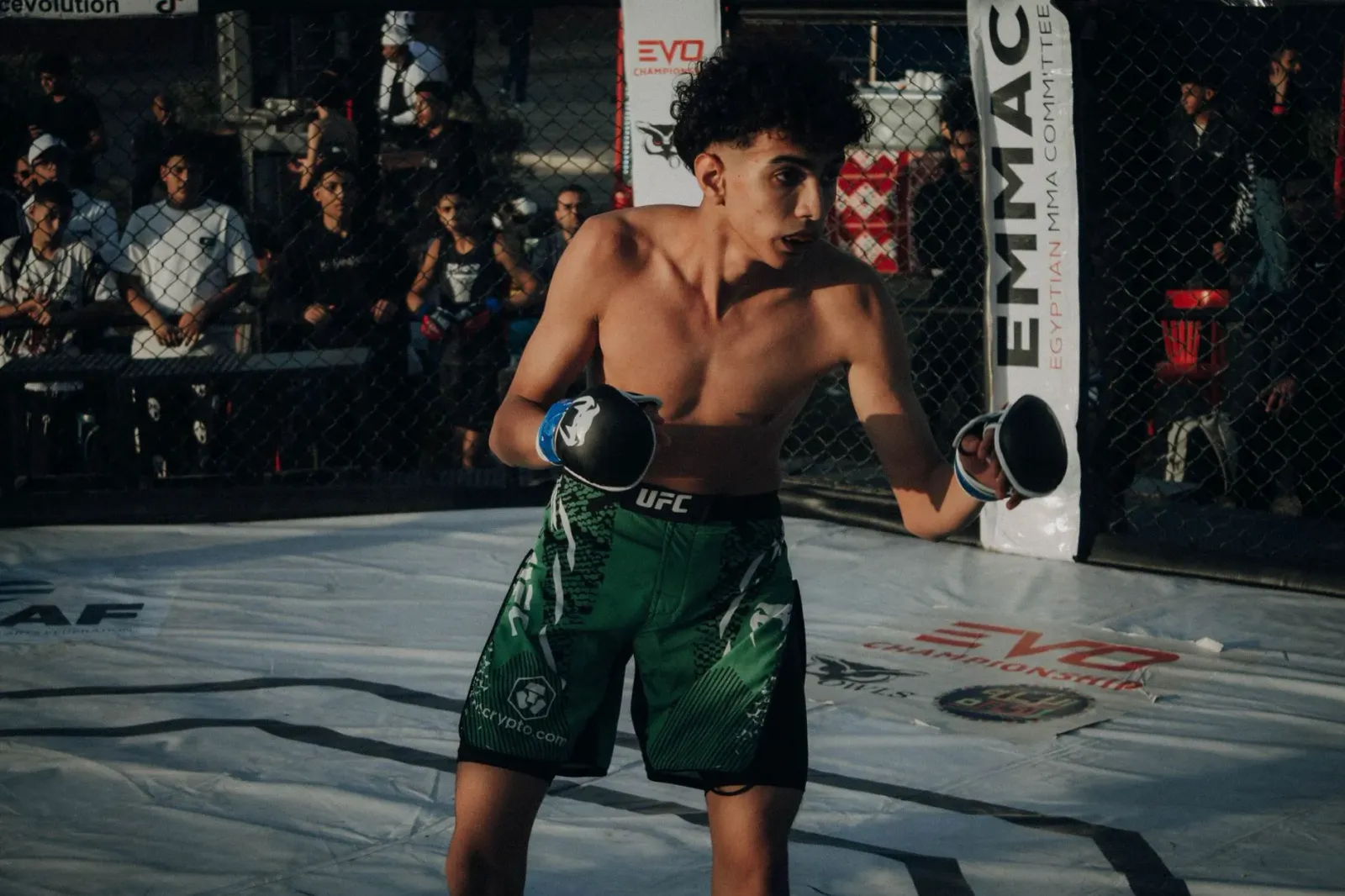 Imajen hatudu luta UFC iha White House South Lawn, ho ema barak hela iha fatin ne'e, hanesan eventu desportu no polítika.
