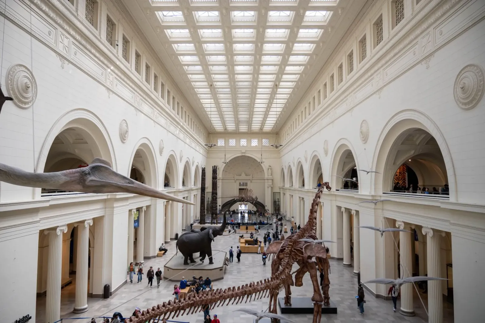 Imajen kona-ba projetu renovasaun Griffin Museum of Science and Industry iha Chicago ho entrada foun no terasa