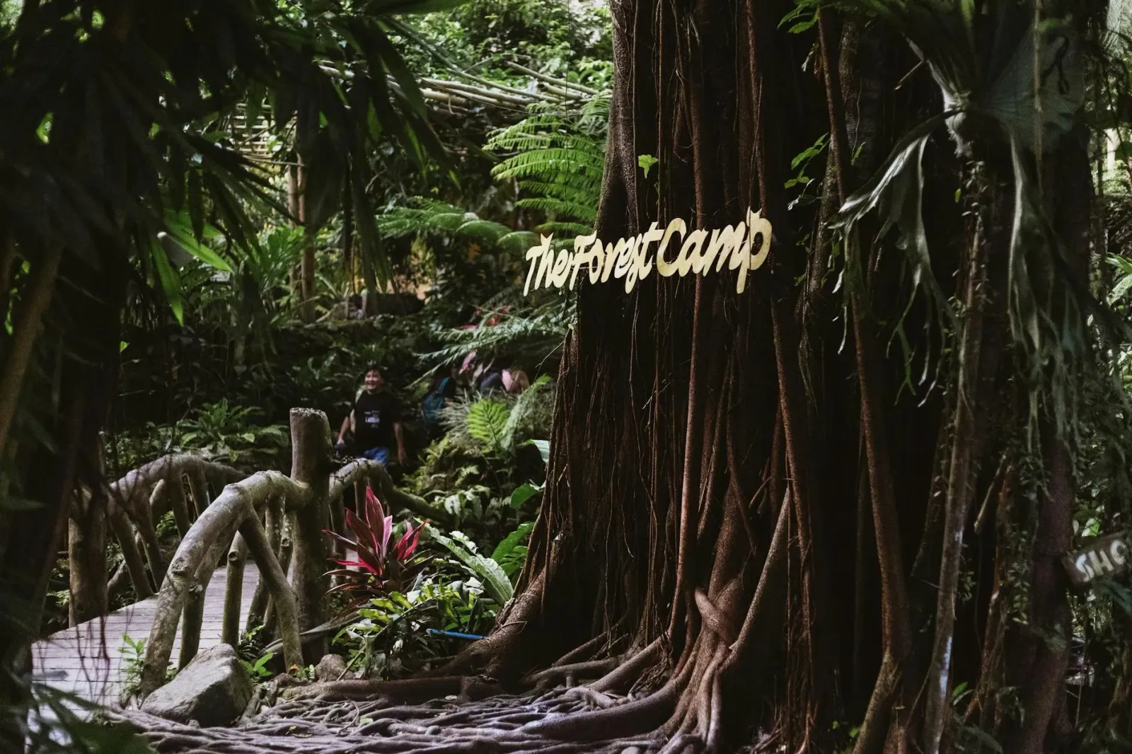 Imajen kona-ba akampamentu iha australia ne'ebé ema famozu sira hela iha programa I'm a Celebrity Get Me Out of Here 2025
