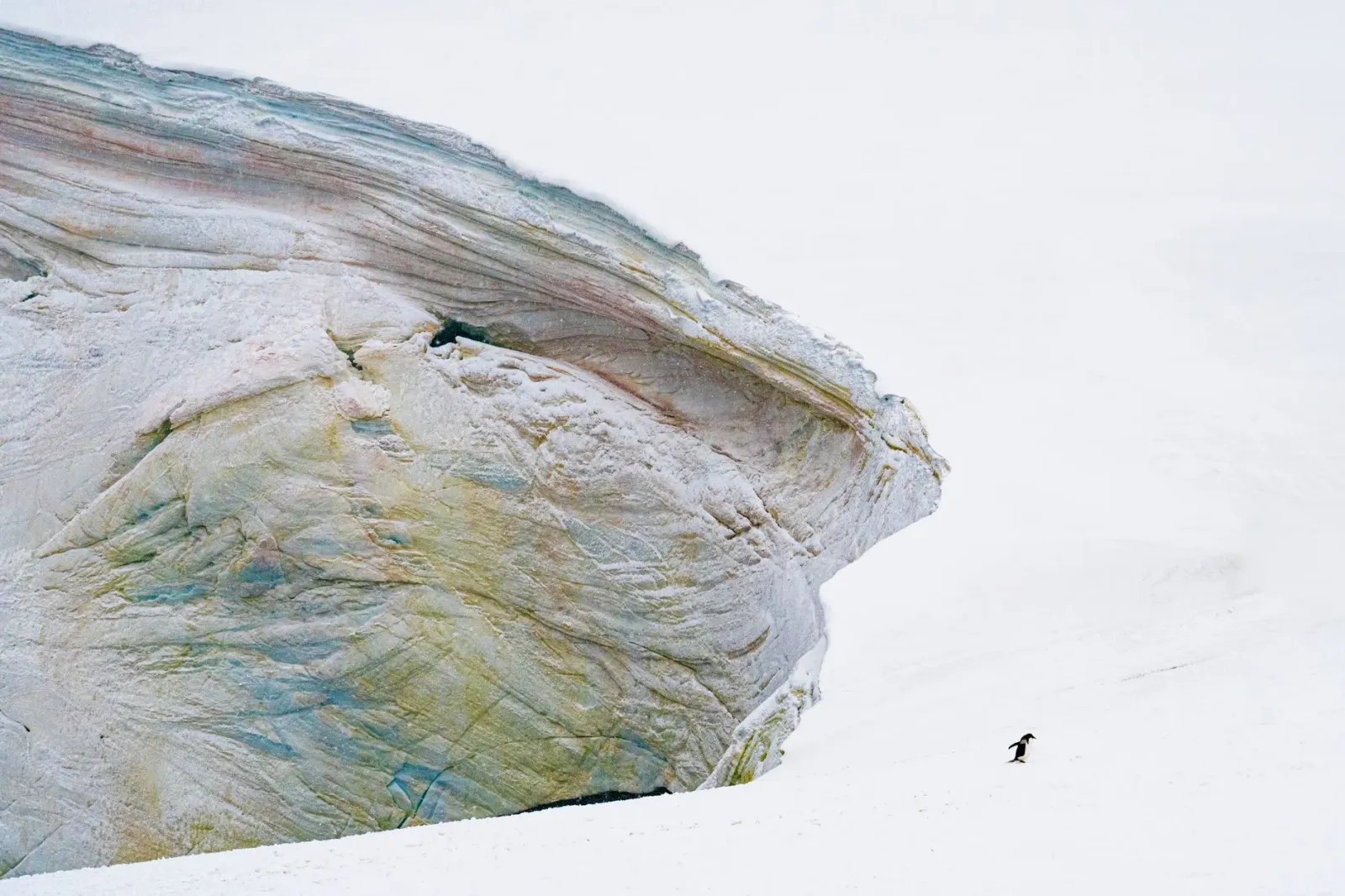 Imajen mikroskópiku hatudu moris subar iha Antártida nia Dry Valleys, ho mikroorganizmu sira iha kristal gelu ne'ebé fó ita k