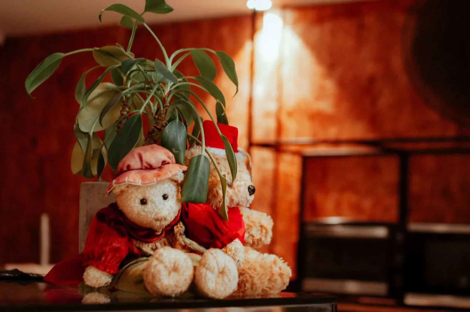 Imajen kolajen ne'ebé hatudu sena husi The Bear iha dapur ho kafé no mos poster animasaun Rent-A-Girlfriend ho Kazuya no Chiz