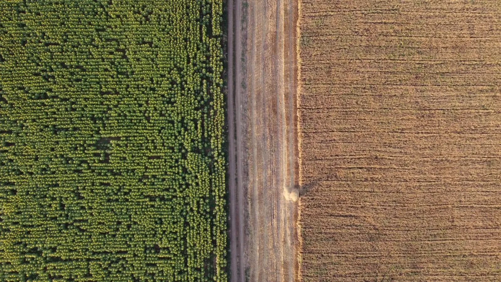 Mapa ida hatudu área riku no área kiak iha distritu Makerfield, Inglaterra, ho kór diferente atu hatudu diferensa ekonomia en