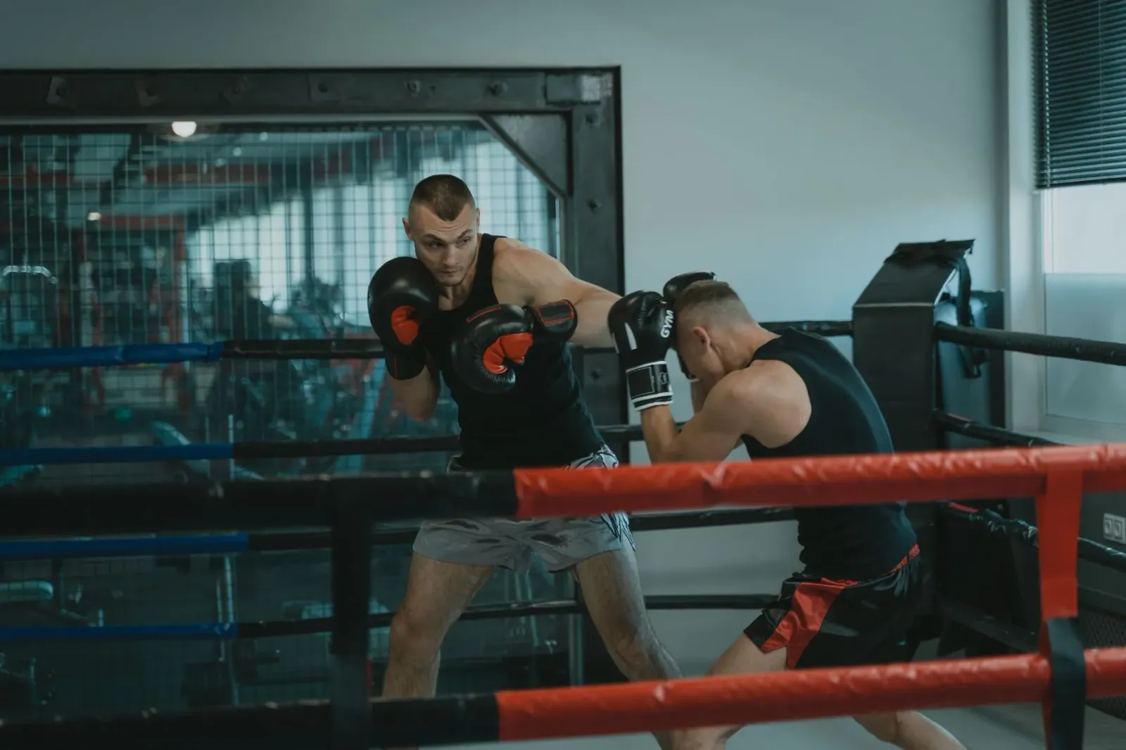 Imajen husi luta boxe entre Tommy Fury no Eddie Hall iha Manchester, hatudu atmosfera espetákulu ho torcida no ringue