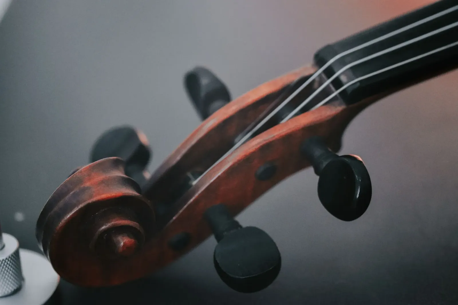 Imajen ne'e hatudu emu ida ne'ebé iha moris, hanesan muziku no siénsia, mak ita tenke komprende iha mundu.