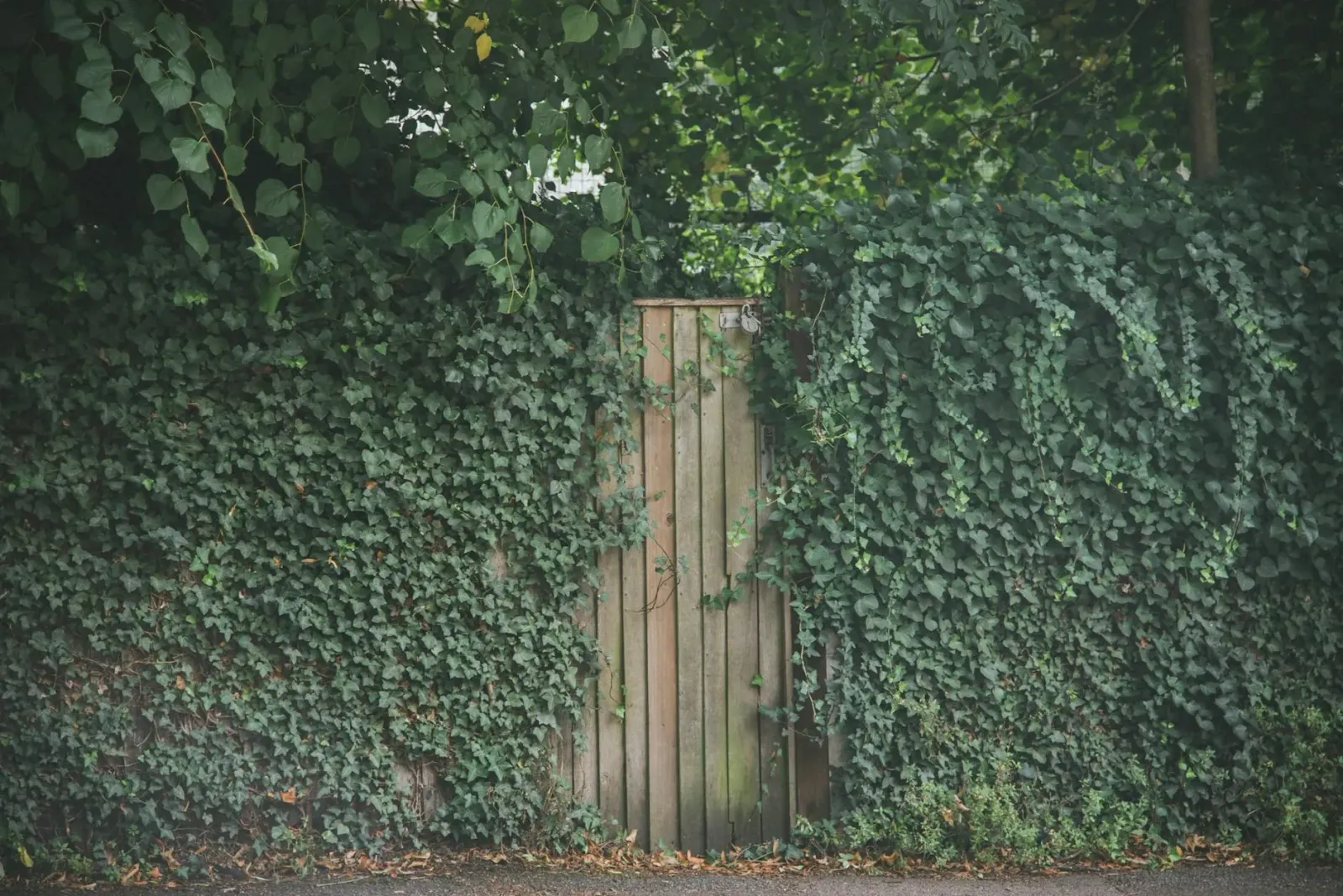 Uma elegante branku iha Londres ho fachada ne'ebé konxede jardim privadu - simbóliku ba valor ne'ebé naksubar