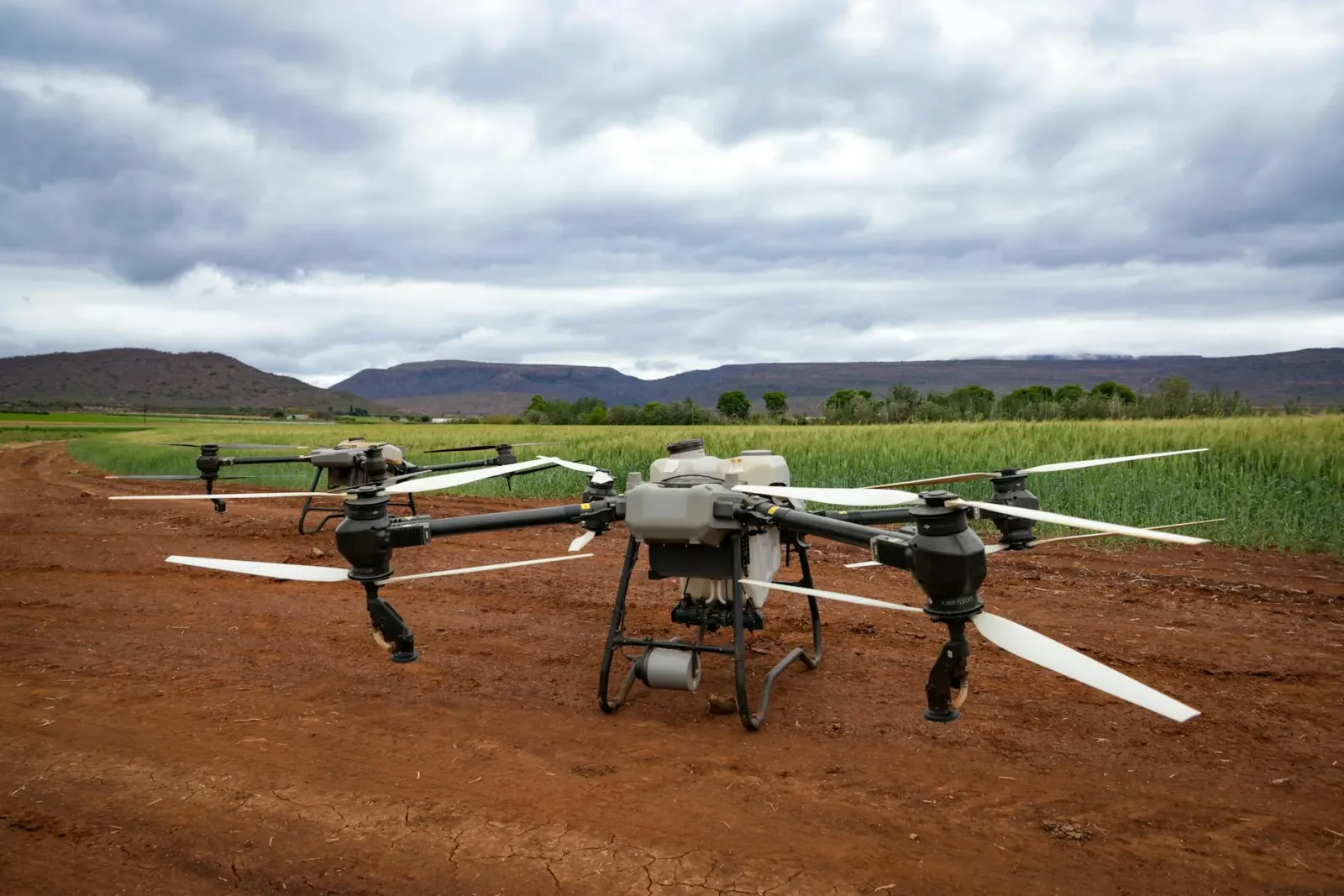 Drone ne'ebé uza AI atu monitoriza ai-han no rai iha to'os, ho ai-han verde no teknolojia modernu