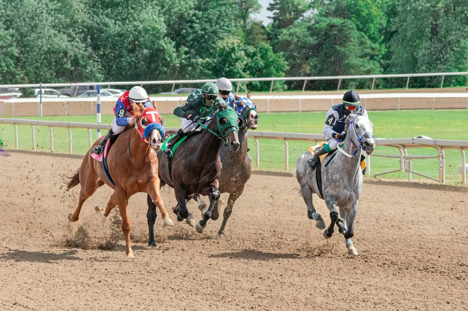 Ema barak halibur hela iha Belmont Park atu haree korida kuda Belmont Stakes, ho fã sira ne'ebé entusiasmu no bandeira sira.