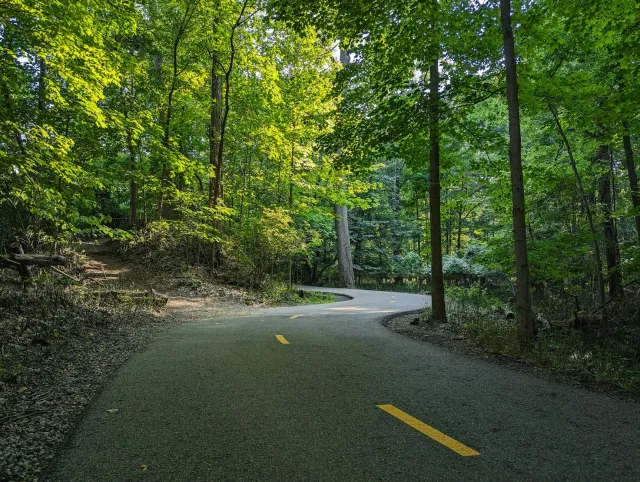 Ekipa sira halo paving estrada borraxa iha Ann Arbor, Michigan, ho mákina boot no material borraxa hodi konstrui dalan foun n