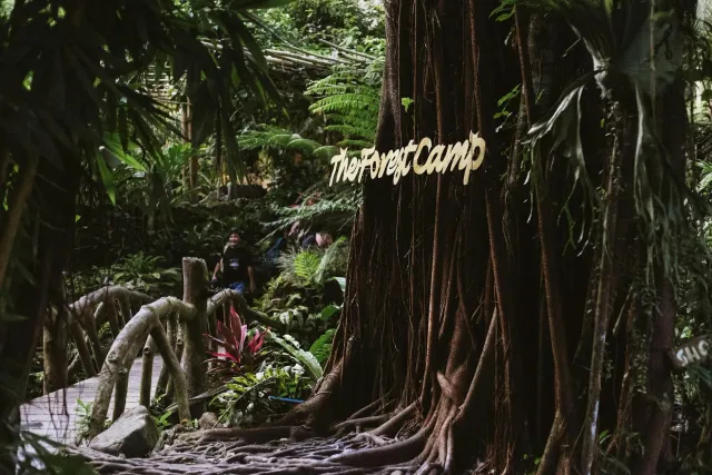 Imajen akampamentu iha ai-laran Austrália ba programa realidade I'm a Celebrity ne'ebé hatudu tenda no bandeira