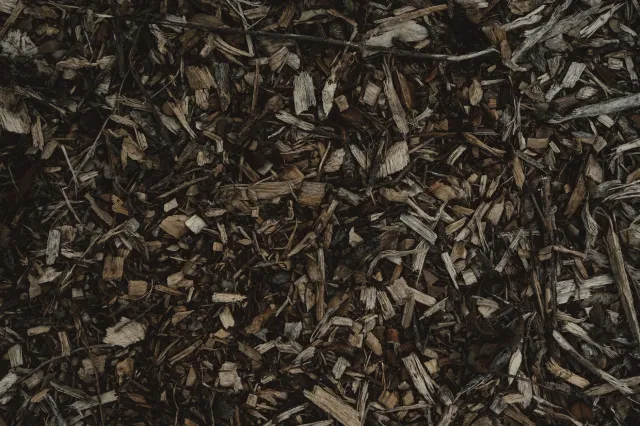 Ai-kabelak no lignina ne'ebé sientista sira transforma ba vanila flavouring no bioplástiku, ho mikroskopiu hanesan símbolu in