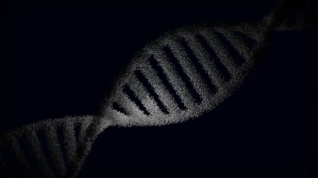 Imajen hatudu laboratóriu genómika ho ekipamentu sekvensiamentu ADN modernu no sientista sira servisu hamutuk hodi analiza da
