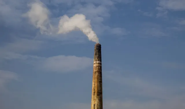 Imagem representa alimentu saúdavel no poluisaun ambiente iha Timor-Leste, hanesan fuma no komestivel ki'ik