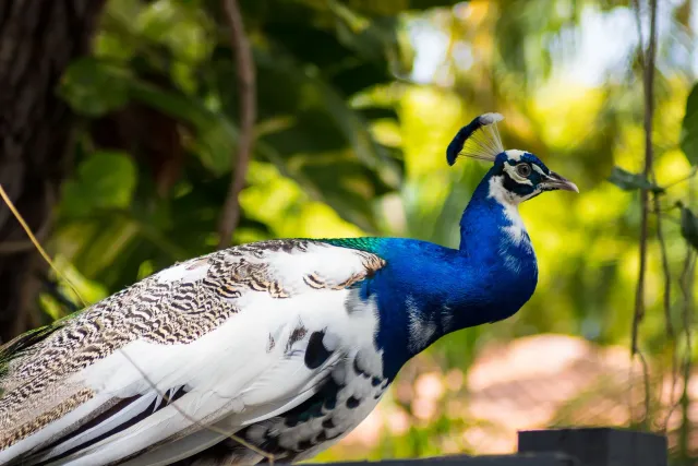 Georgia Gay, oan-feton husi Heather Gay, estrela iha série foun Campus Confidential: Miami iha Peacock. Série ida ne'e hatudu