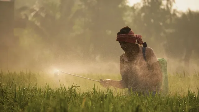 Imajen ida hatudu teknolojia AI uza iha área rurál atu ajuda saúde no agrikultura, ho komputadór no sensor sira iha plantasau