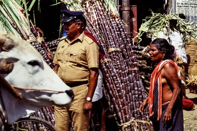 Polisia Índia halo buska iha fatin eskandalu rekrutamentu politékniku iha Tamil Nadu, hodi investiga korrupsaun no movimentu 