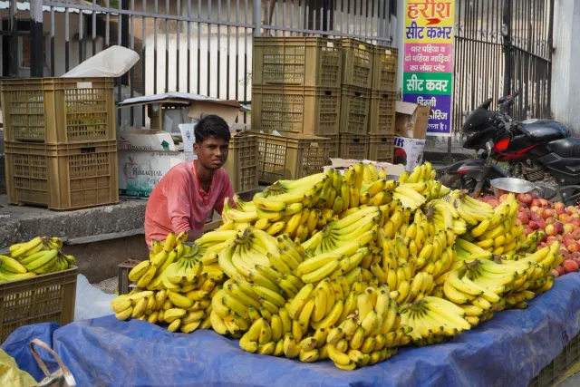 Empreendedor feto iha fábrika banana chips ho painél solar iha kotuk, hatudu negósiu rural modernu ho kartu kreditu iha liman