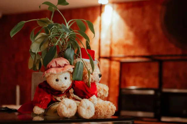 Imajen kolajen ne'ebé hatudu sena husi The Bear iha dapur ho kafé no mos poster animasaun Rent-A-Girlfriend ho Kazuya no Chiz