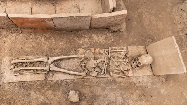 Skeleton isin-rahun husi hunter-gatherer antigu iha sibéria, ho fetor peste ne'ebé hetan tiha husi arkeólogu sira, hanesan im
