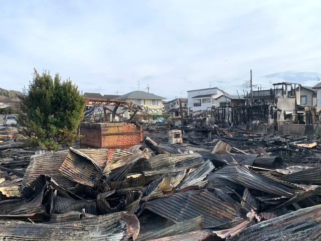 Imajen hatudu rai nakdoko iha Iwate, Japón, ho uma sira monu tiha no ema servisu atu hamutuk fila fali sira nia moris.