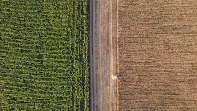 Mapa ida hatudu área riku no área kiak iha distritu Makerfield, Inglaterra, ho kór diferente atu hatudu diferensa ekonomia en