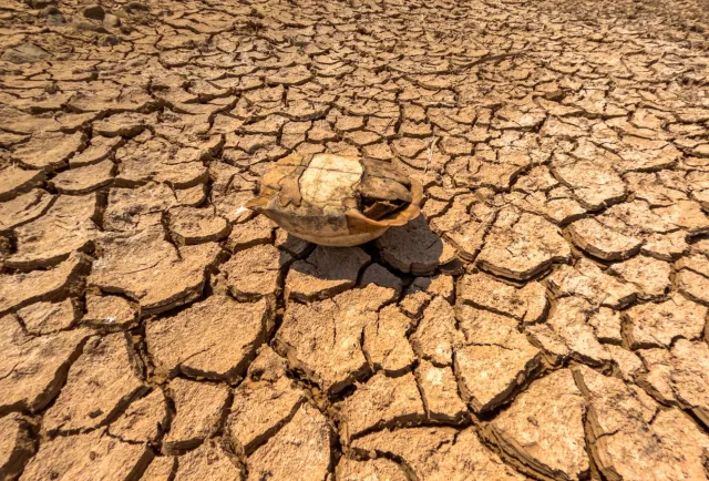 Imajen kona-ba rai maran no temperatura aas iha India, hatudu ema sira proteje an husi manas, ho loron naruk no kalor boot, h