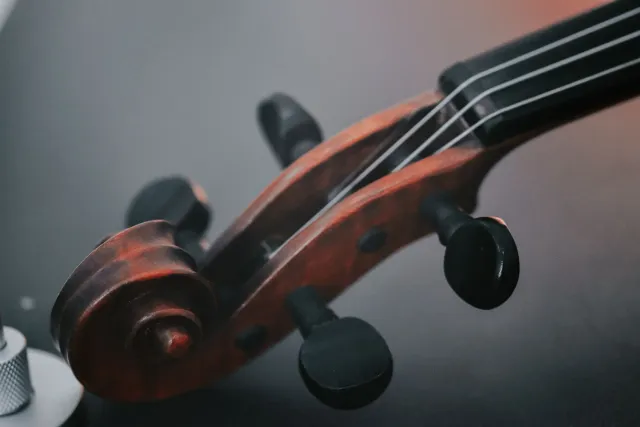 Imajen ne'e hatudu emu ida ne'ebé iha moris, hanesan muziku no siénsia, mak ita tenke komprende iha mundu.