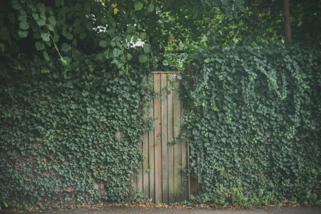 Uma elegante branku iha Londres ho fachada ne'ebé konxede jardim privadu - simbóliku ba valor ne'ebé naksubar