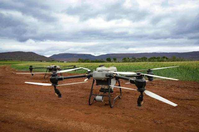 Drone ne'ebé uza AI atu monitoriza ai-han no rai iha to'os, ho ai-han verde no teknolojia modernu