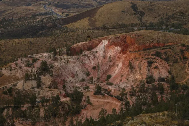 Imajen ida hatudu mina ne'ebé transforma tiha ona ba feto foun verde ho ai-horis barak, hanesan ezemplu ba teknolojia ambient