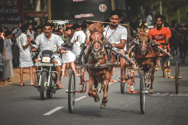 Polísia Tamil Nadu detén ema nain tolu tanba oferta suborno Rs 35 crore ba deputadu TVK iha kazu horse trading